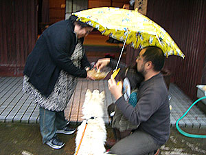 おろし餅になりました〜♪